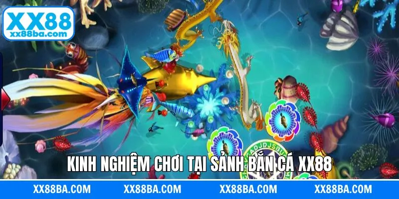 Chiến lược săn mồi đỉnh cao giúp nâng cao tỷ lệ thắng