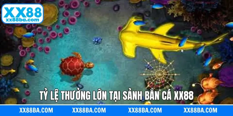 Chơi thắng lớn, nhận thưởng liền tay, không lo rủi ro